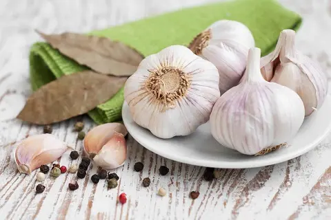 Purchase of Garlic with Calibers Above 5 and Below 5