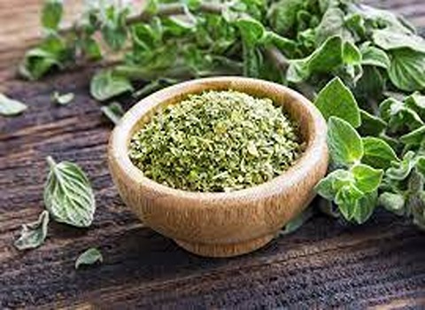 oregano Specifications and How to Buy in Bulk