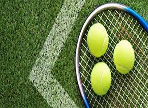 Tennis Ball with Complete Explanations and Familiarization