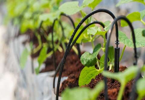 drip tube irrigation Price List Wholesale and Economical