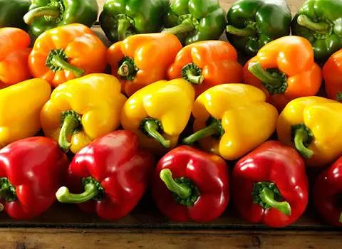 Active ingredient in Summer bell peppers and Purchase at Reasonable Price