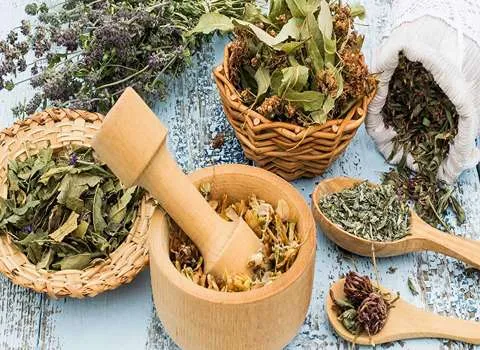 The Role of Medicinal plant and Purchase with specific Details