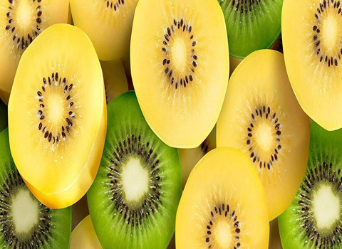 Golden Kiwi Specifications and How to Buy in Bulk