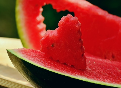 Watermelon Acquaintance from Beginning to End Bulk Purchase Prices