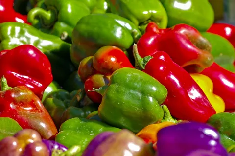Colored bell peppers  with Complete Explanations and Familiarization