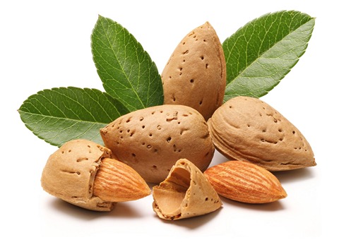 Almonds Loaded With Nutrients and Order for Purchase