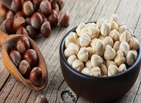 american hazelnuts Price List Wholesale and Economical