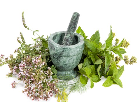 Method of Production Medicinal Herbal Extracts and Buy at Competitive Price