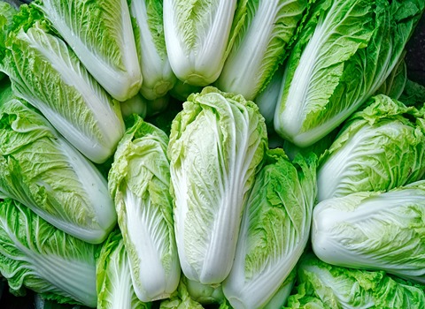 Napa Cabbage with Complete Explanations and Familiarization