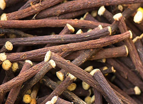 Licorice Specifications and How to Buy in Bulk