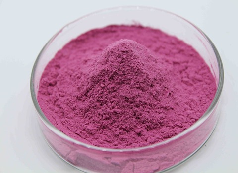 Price and Purchase Blueberry Juice Powder with Complete Specifications