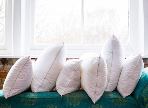 Price and Purchase Feather pillows with Complete Specifications