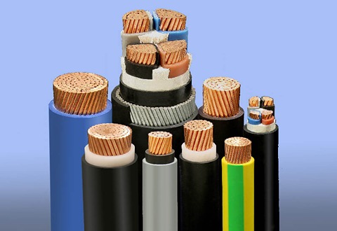 Armored cables Buying Guide with Special Conditions and Exceptional Price