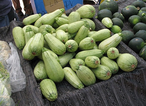Bulk Purchase of Vegetable Marrow with the Best Conditions
