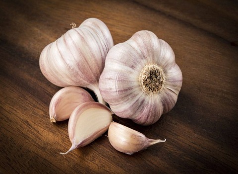 garlic Specifications and How to Buy in Bulk