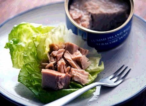 Canned Tuna Buying Guide with Special Conditions and Exceptional Price