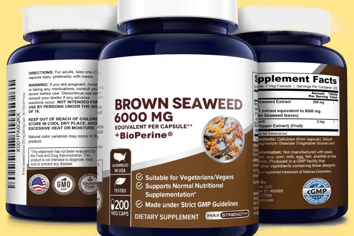 Brown Seaweed Extract