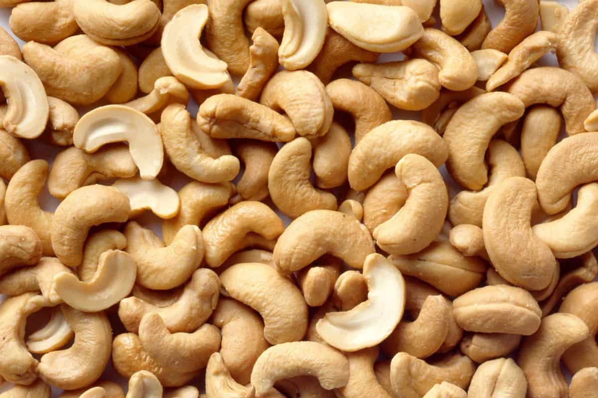 roasted cashews