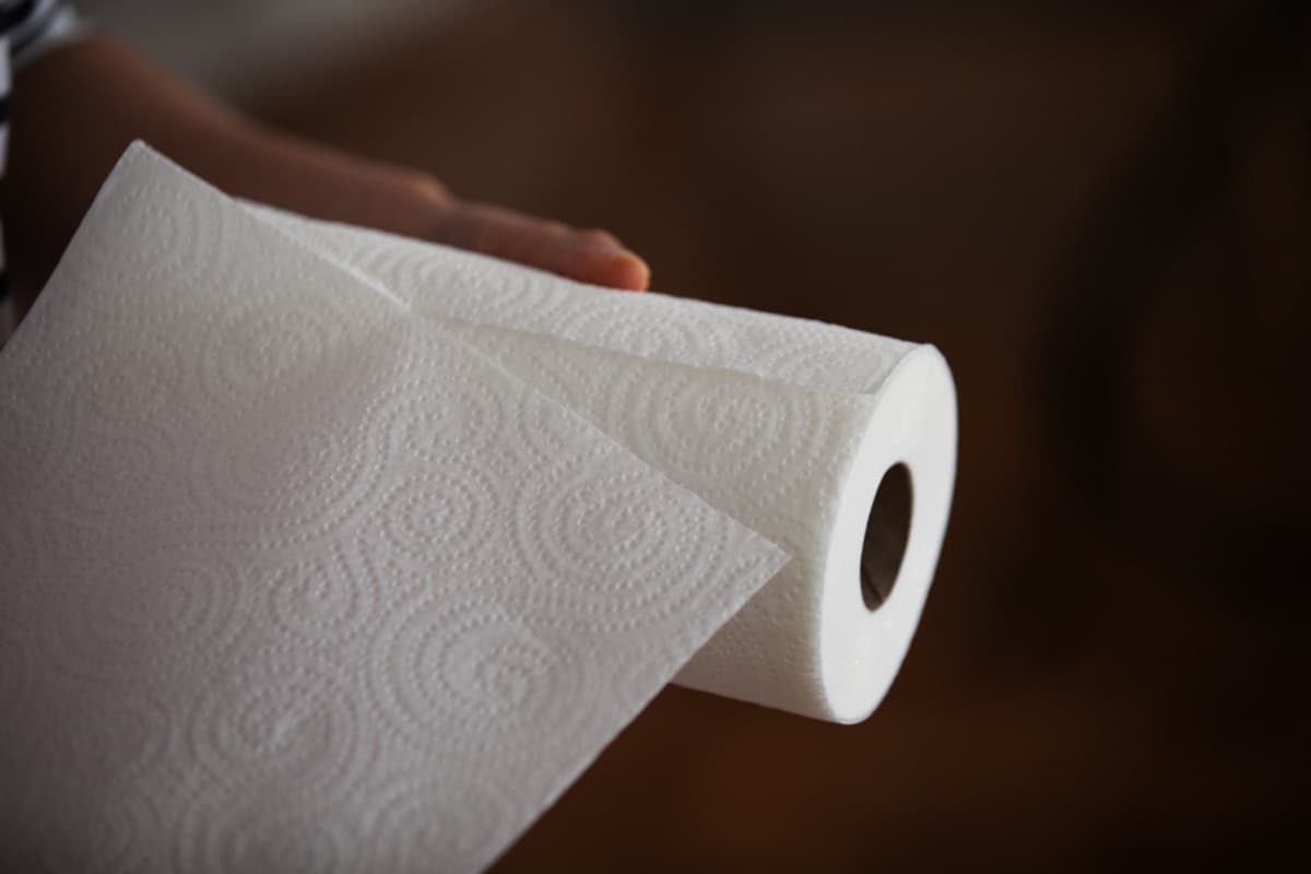 paper towel 