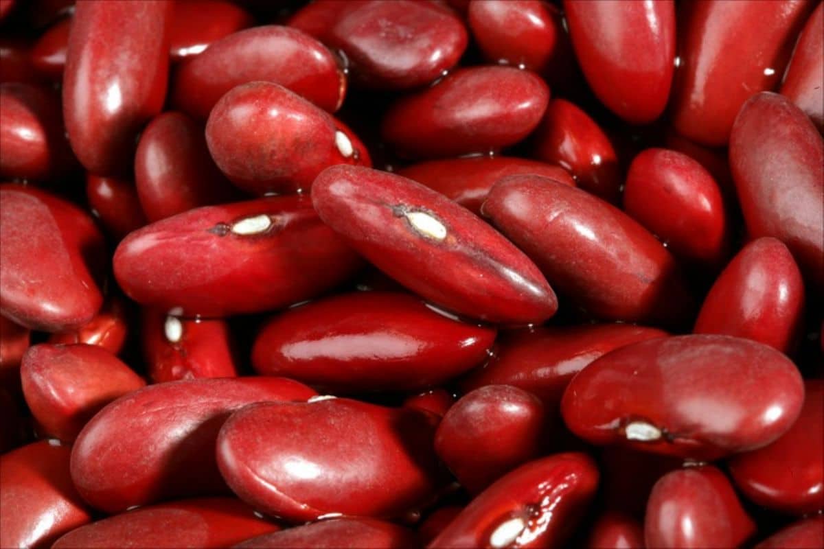 red kidney beans in tamil
