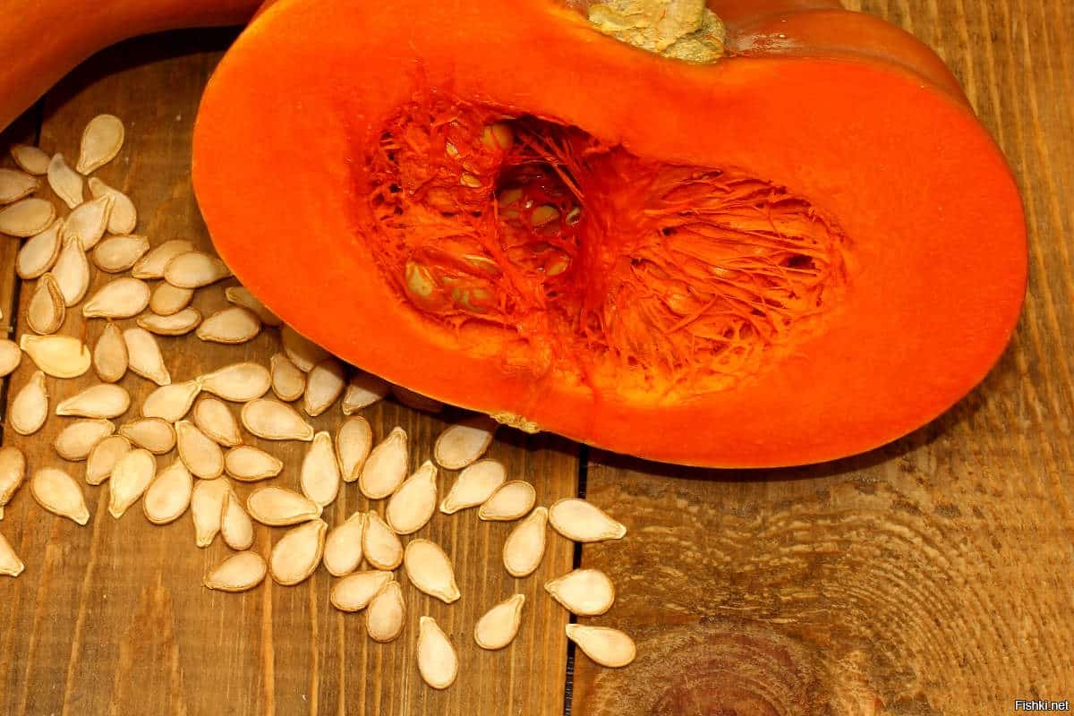 best hybrid pumpkin seeds