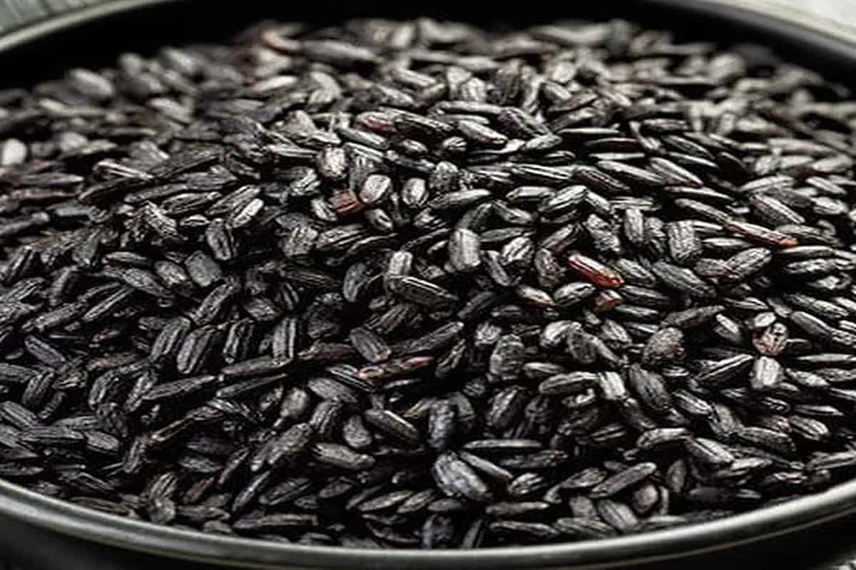 Black Rice; Aromatic Whole Grain Nutty Flavor Protein Rich Cholesterol Free  - Arad Branding