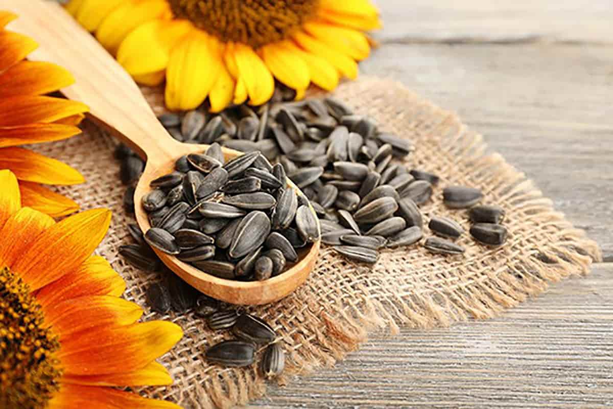 Sunflower Seed Market (Kernels) Reduce Diabetes Control Blood Sugar ...