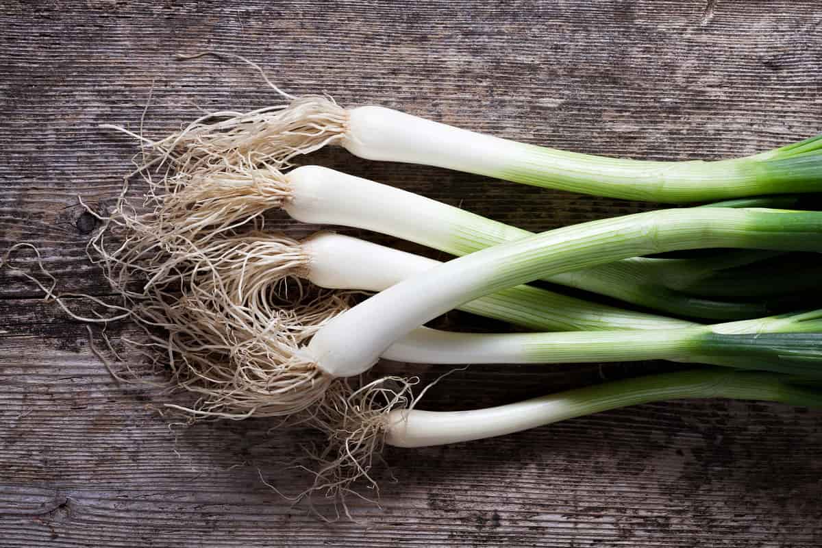 green onion benefits