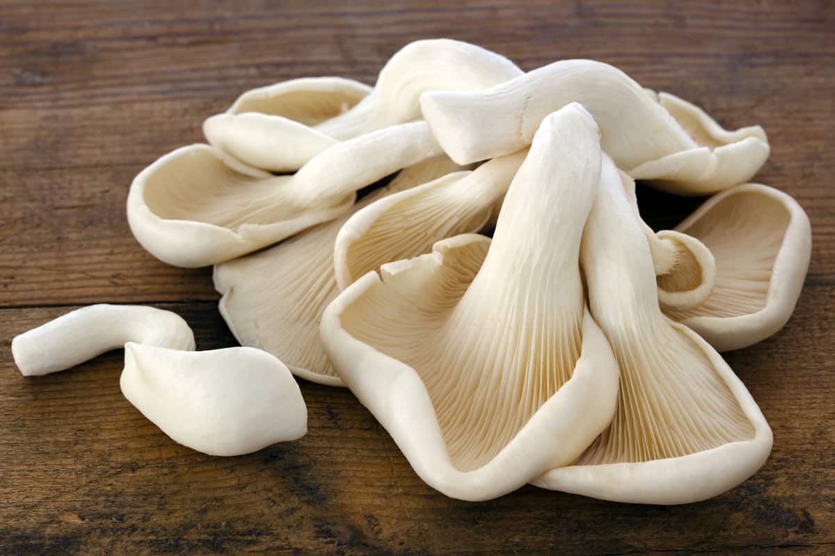 king oyster mushroom calories