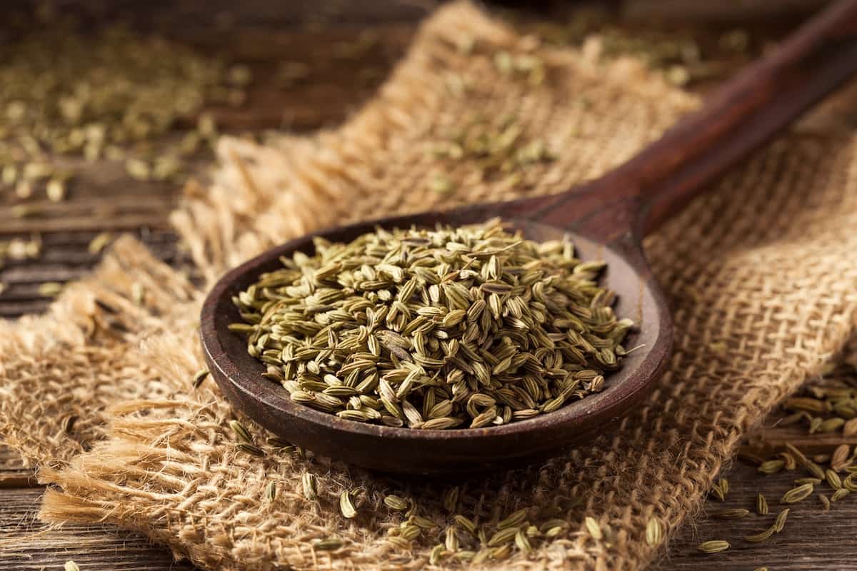 Green Fennel Seeds calories