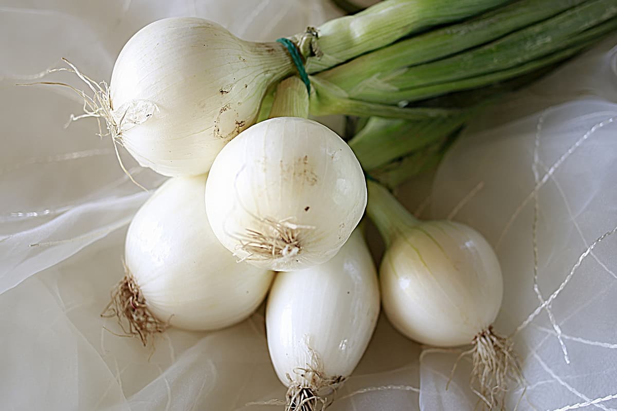 white onion side dish
