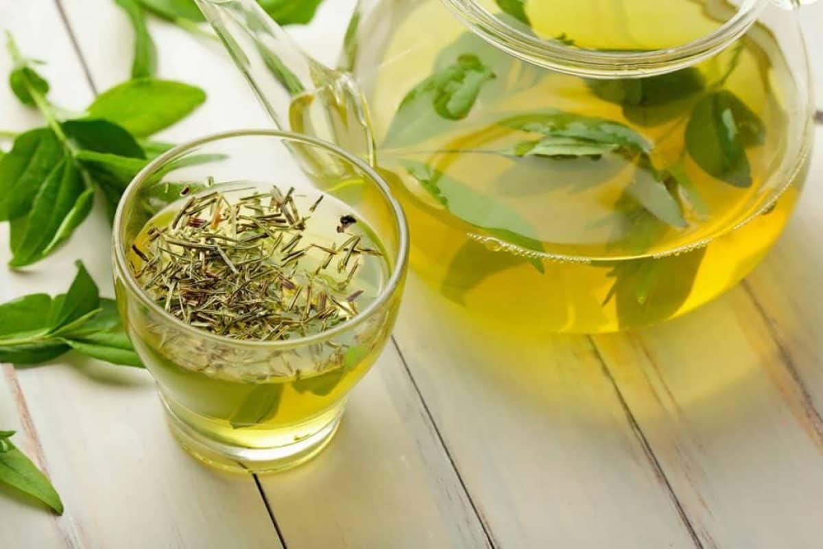 green tea herbal