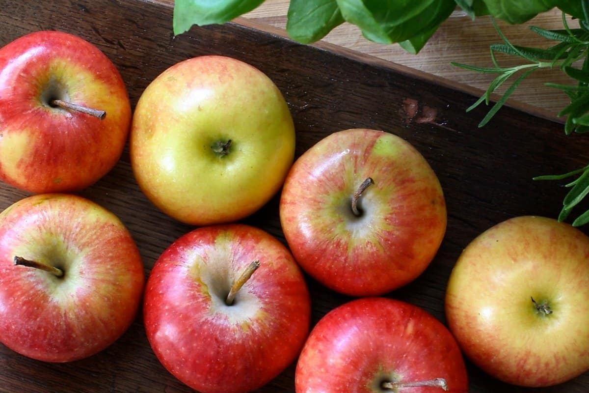 Average Apple Fruit