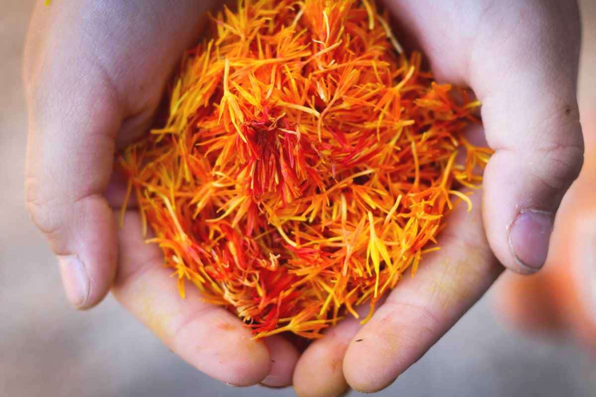bahraman saffron tea
