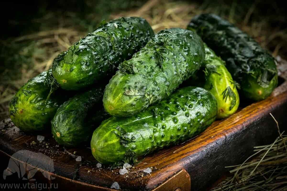 parisian gherkin hybrid cucumber