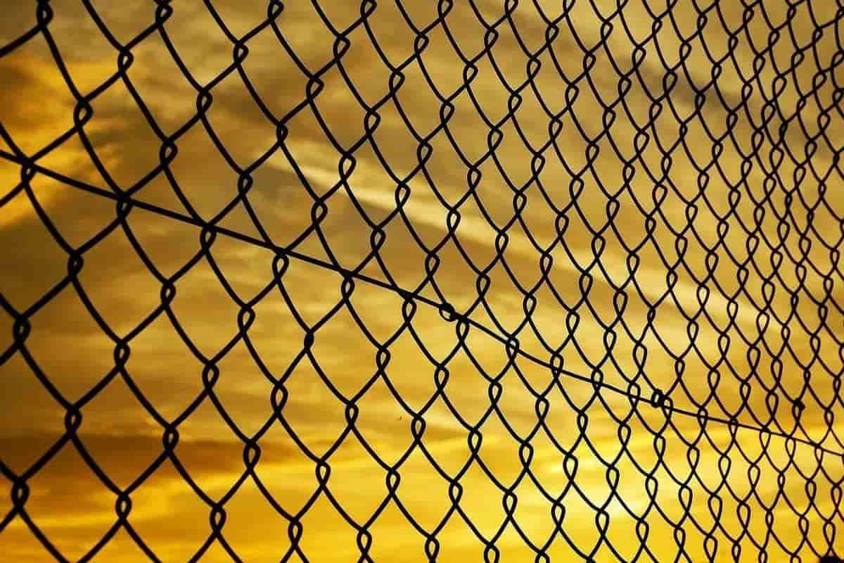 chain wire mesh