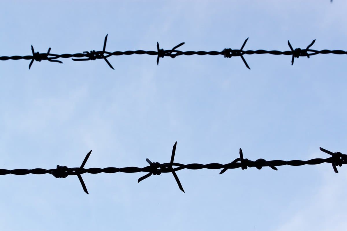 Barbed Wire png