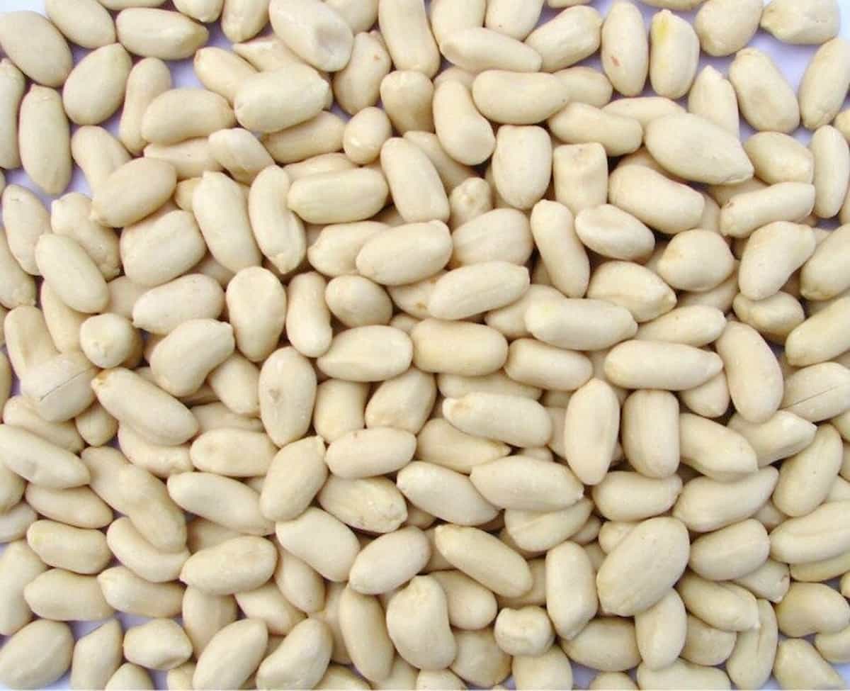 blanched peanuts in delhi