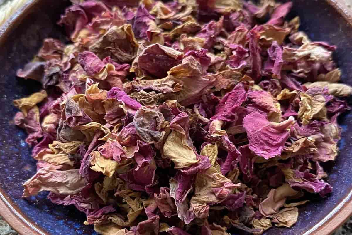 edible dried rose petals