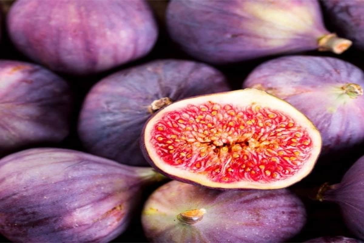 fresh figs fruit
