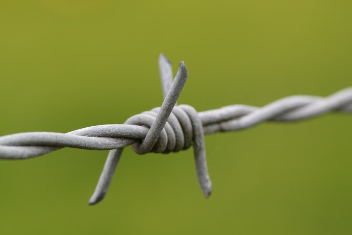 Galvanized Barbed Wire 