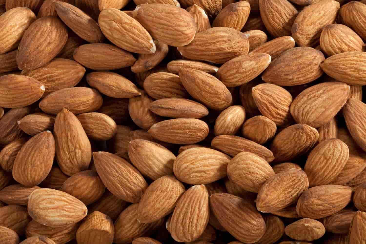 bitter almond