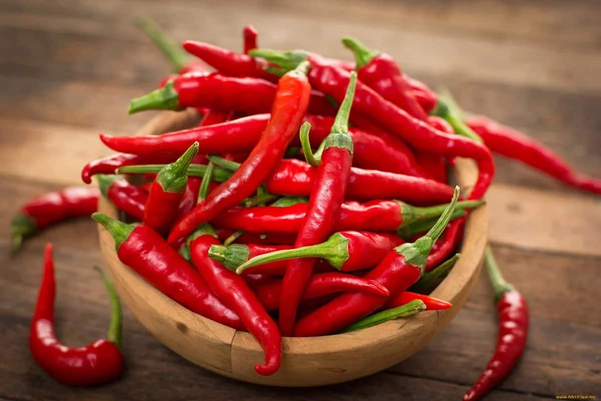 long pepper benefits