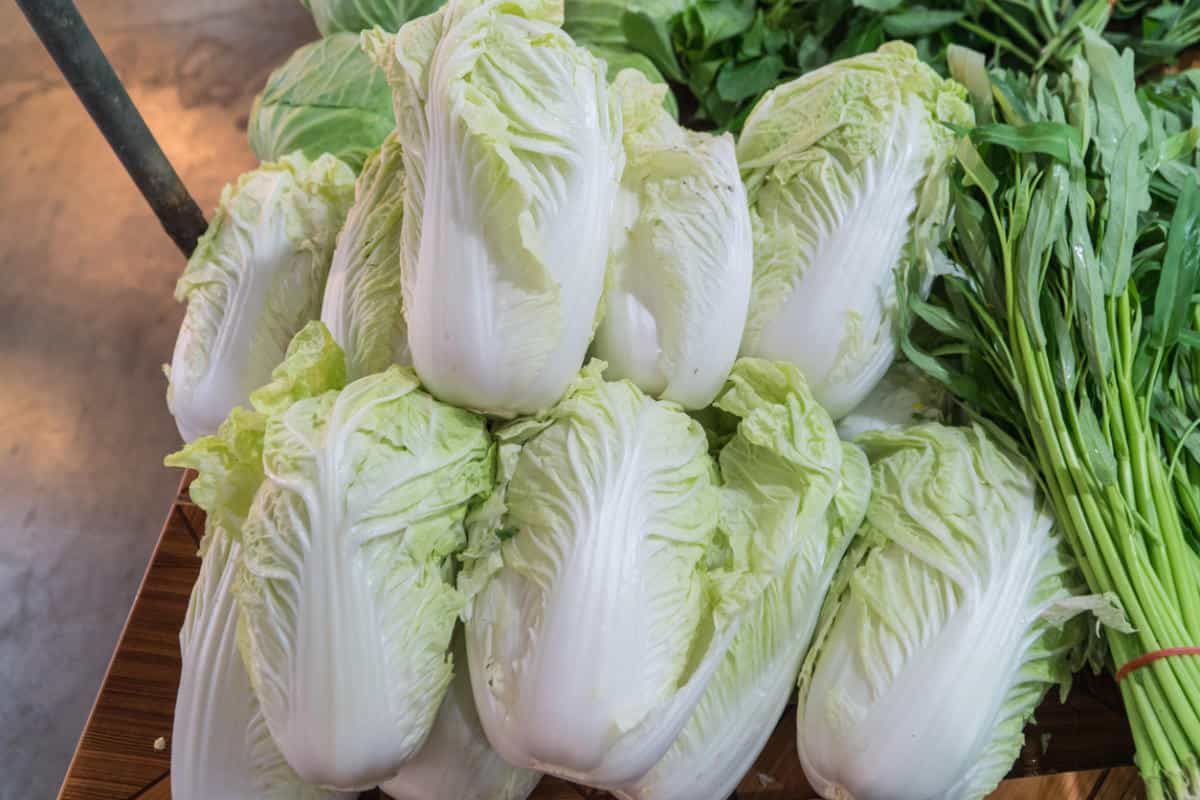 chinese cabbage soup