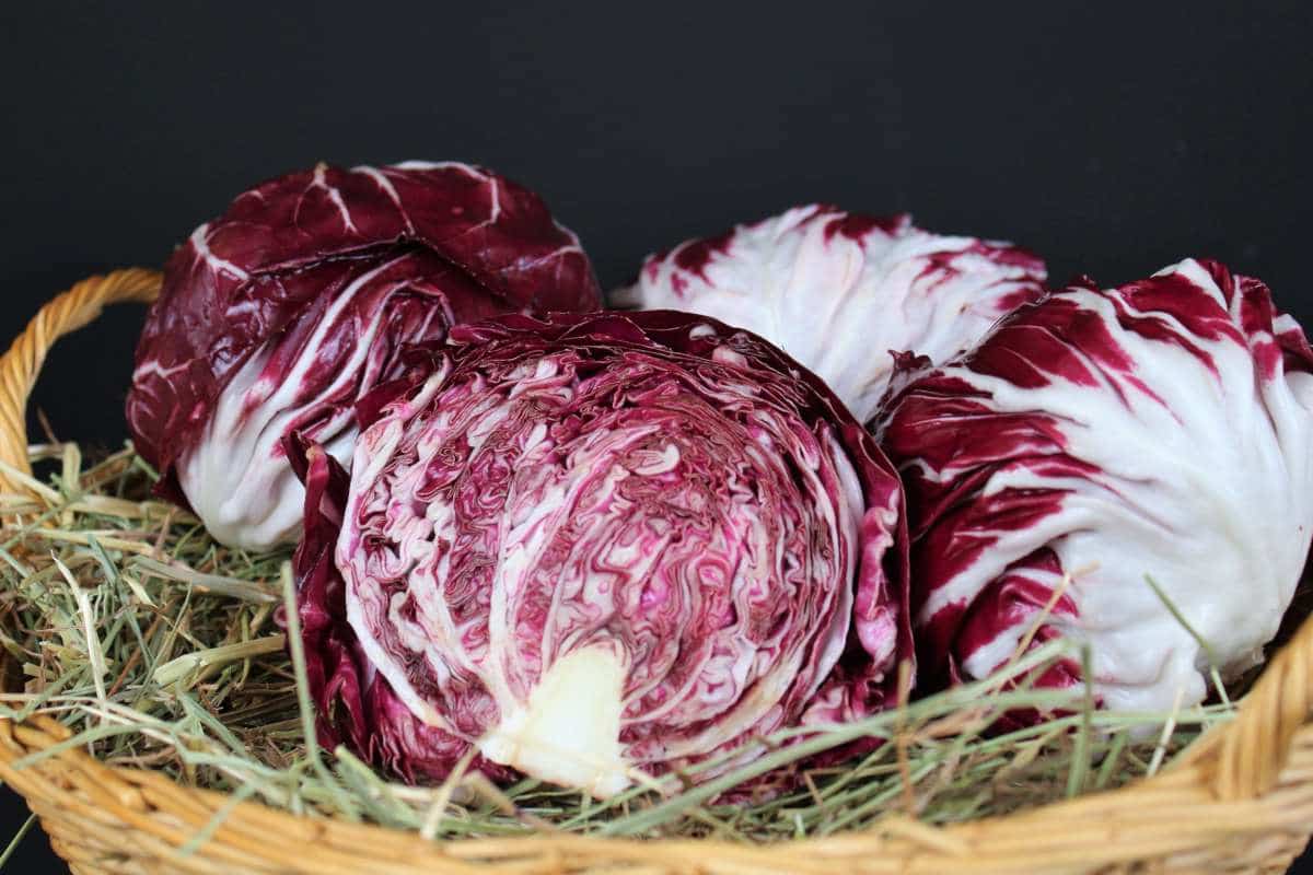 purple cabbage slaw