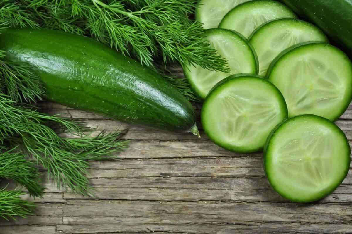 green burpless cucumbers