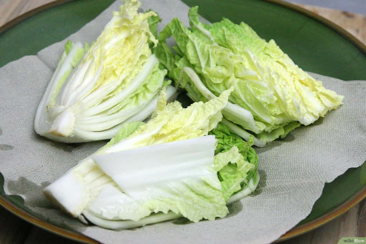 green napa cabbage