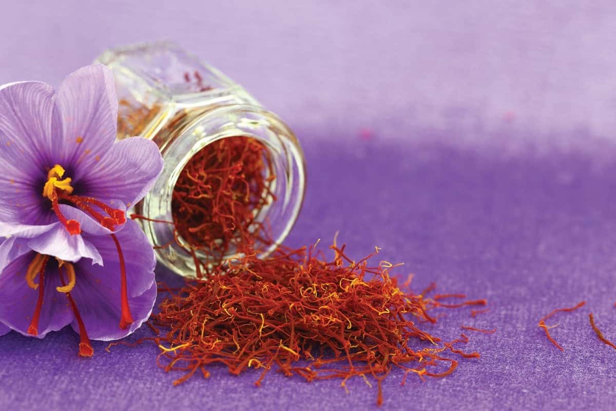 organic saffron threads
