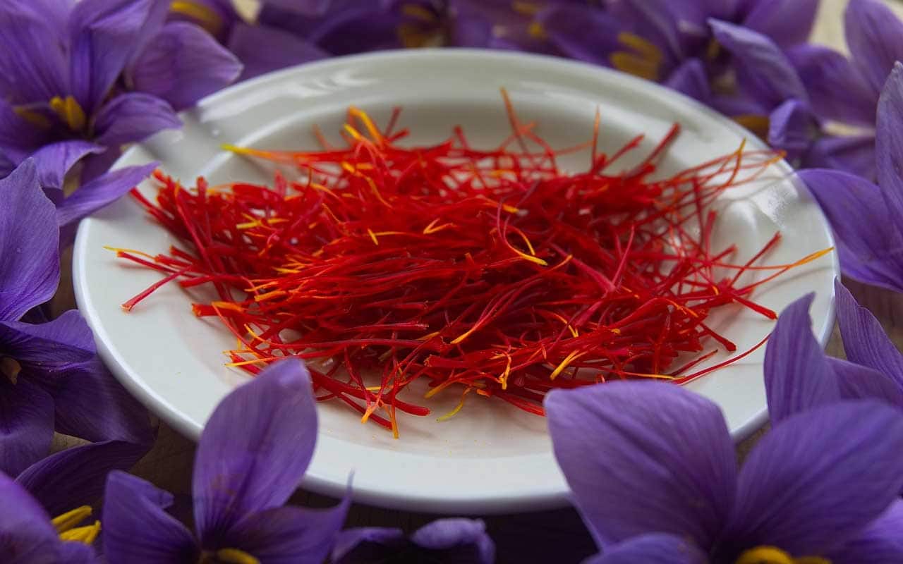 saffron plant seeds