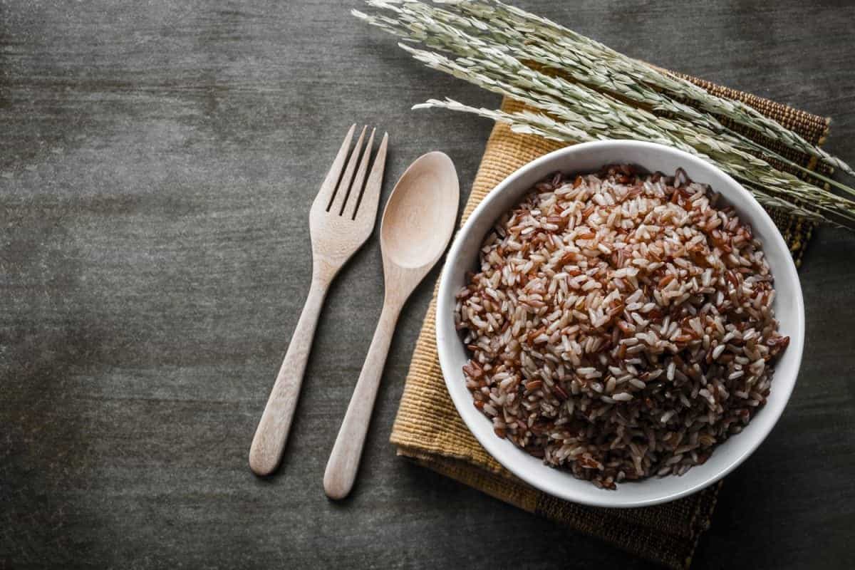 brown rice protein